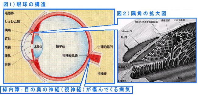 治る 緑内障