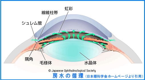 圧 と 眼 どうなる 高い が