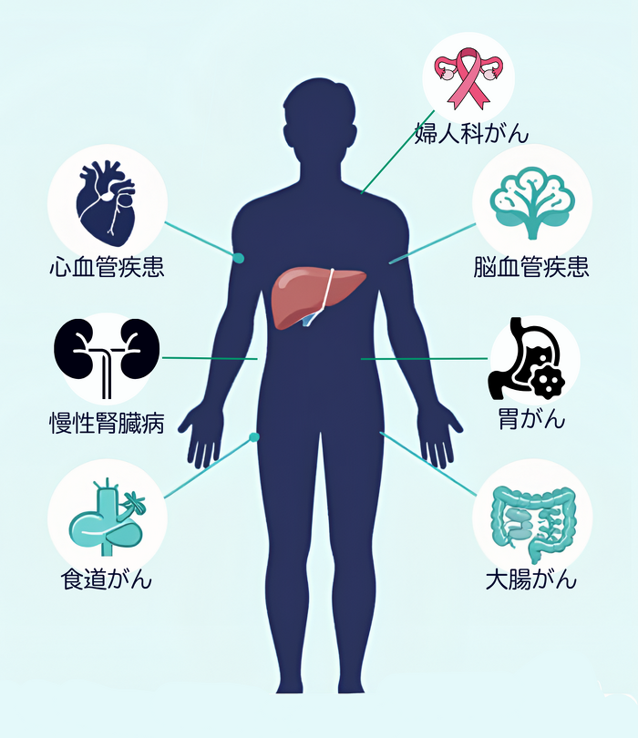 脂肪肝と関連が指摘される疾患のイメージ