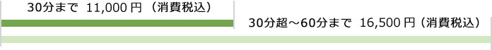 30分まで  11,000円（消費税込）30分超～60分まで 16,500円（消費税込）